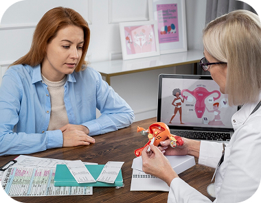 Doctor sitting at a desk with a patient holding up a diagram and explaining female anatomy